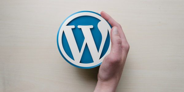 Wsparcie dla CMS WordPress